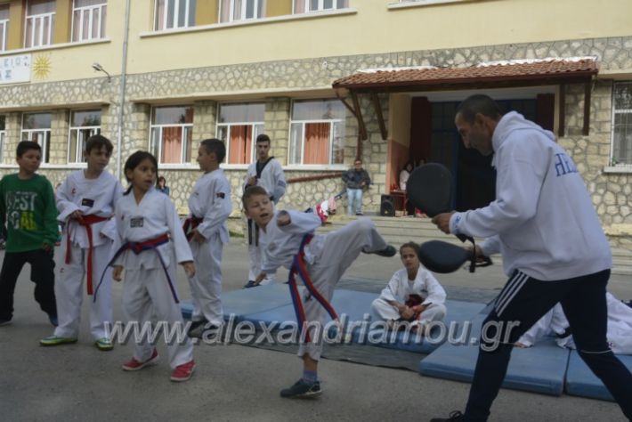 alexandriamou.gr_15dimotiko28017