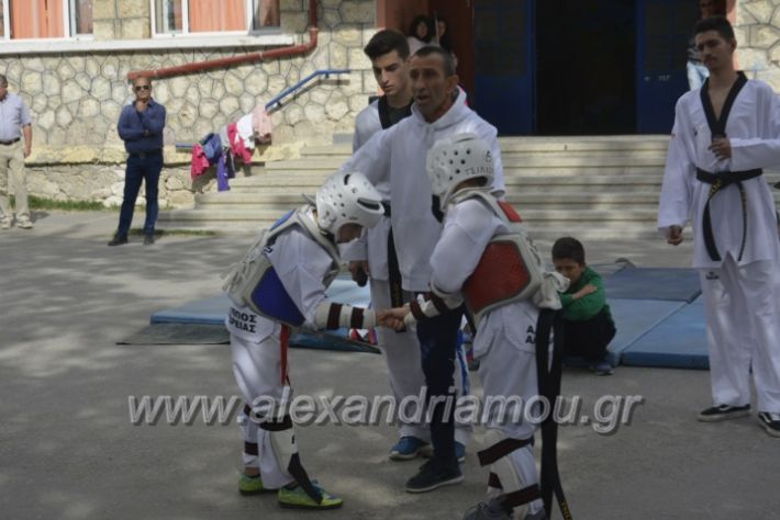 alexandriamou.gr_15dimotiko28082