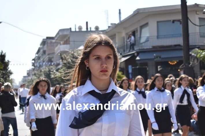 alexandriamou.gr_25sxoliaa100