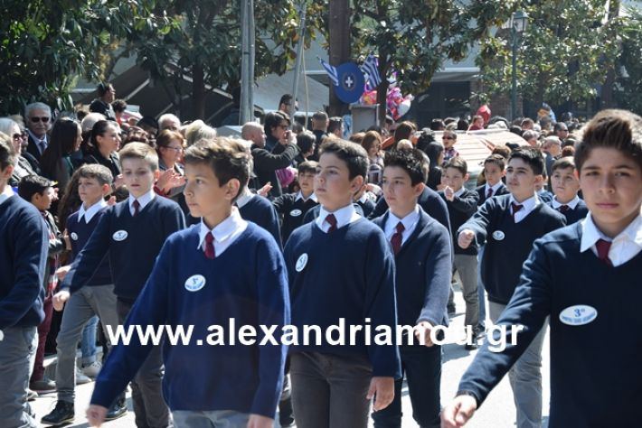 alexandriamou.gr_25σχολια115