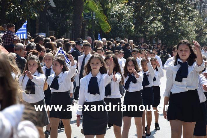 alexandriamou.gr_25σχολια209