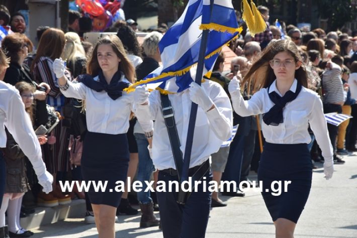 alexandriamou.gr_25σχολια260