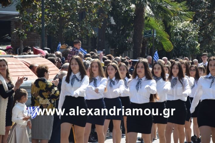 alexandriamou.gr_25σχολια340