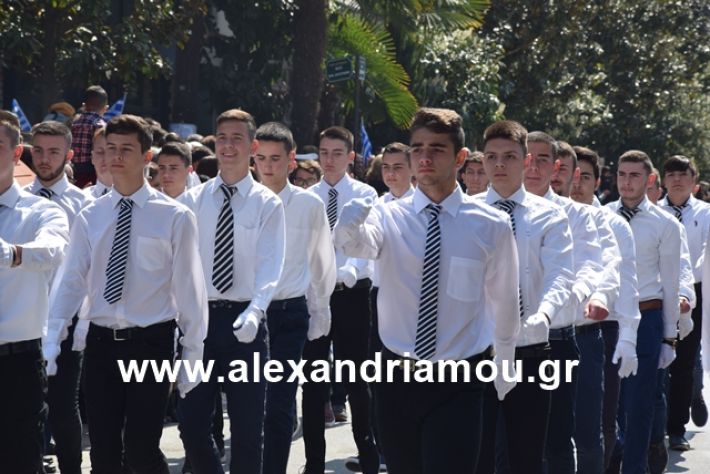 alexandriamou.gr_25σχολια357