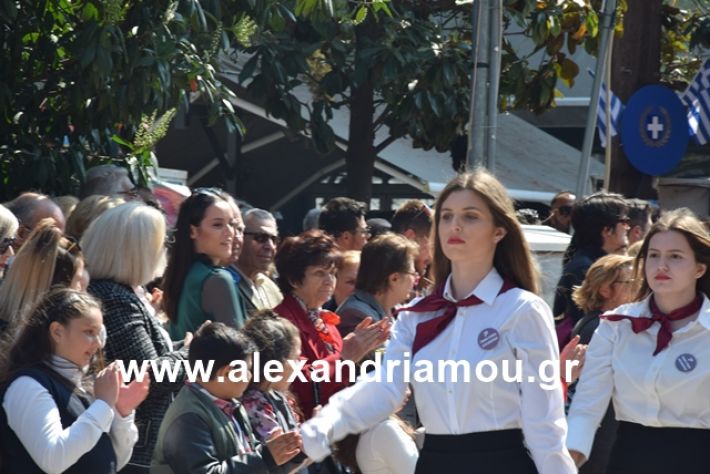 alexandriamou.gr_25σχολια384