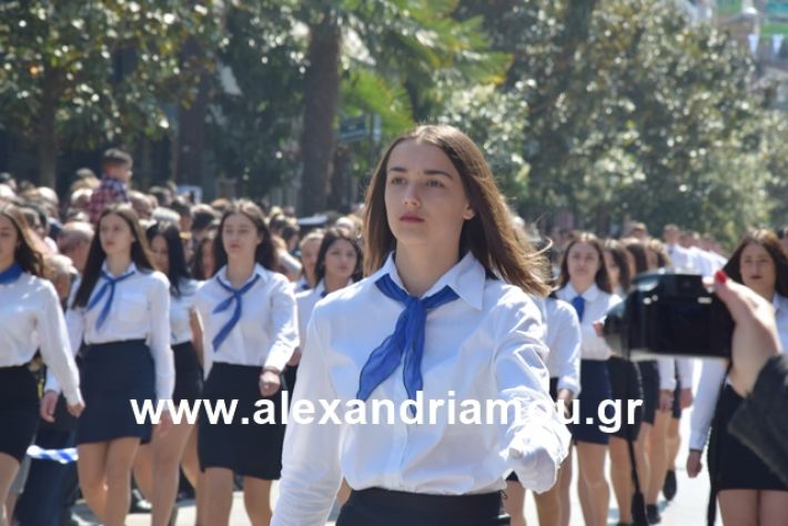 alexandriamou.gr_25σχολια416