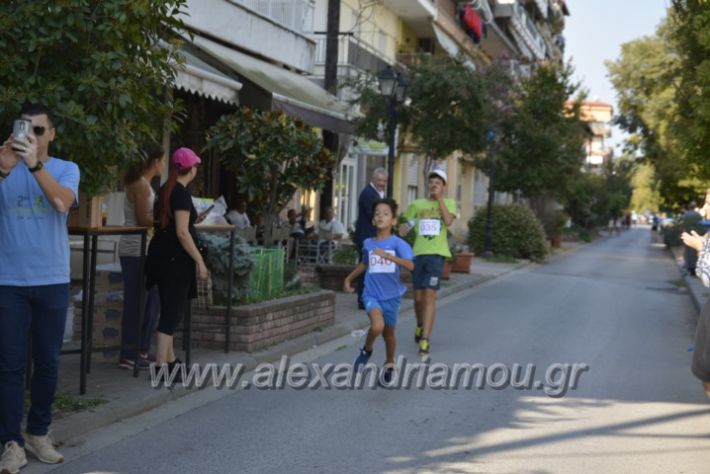 alexandriamou.gr_2agonas_dromou18021