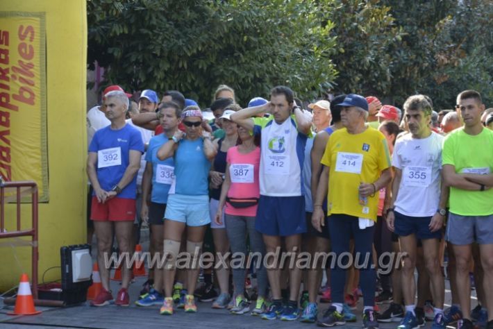alexandriamou.gr_2agonas_dromou18067