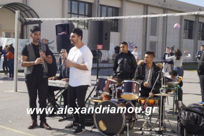 alexandriamou.2ogumnasiolikeiotsiknopempti2019003