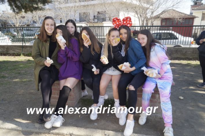 alexandriamou.2ogumnasiolikeiotsiknopempti2019016