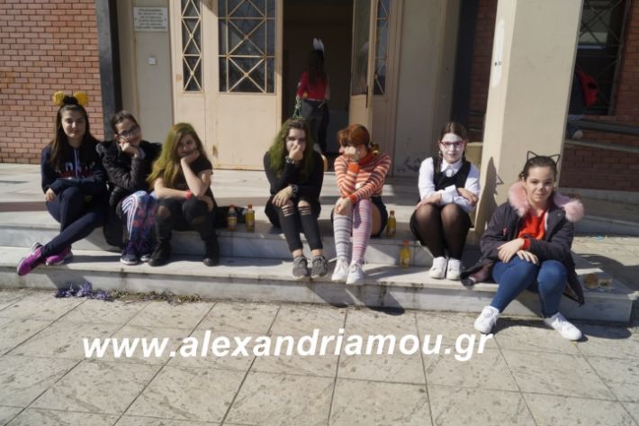 alexandriamou.2ogumnasiolikeiotsiknopempti2019034