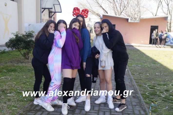 alexandriamou.2ogumnasiolikeiotsiknopempti2019055