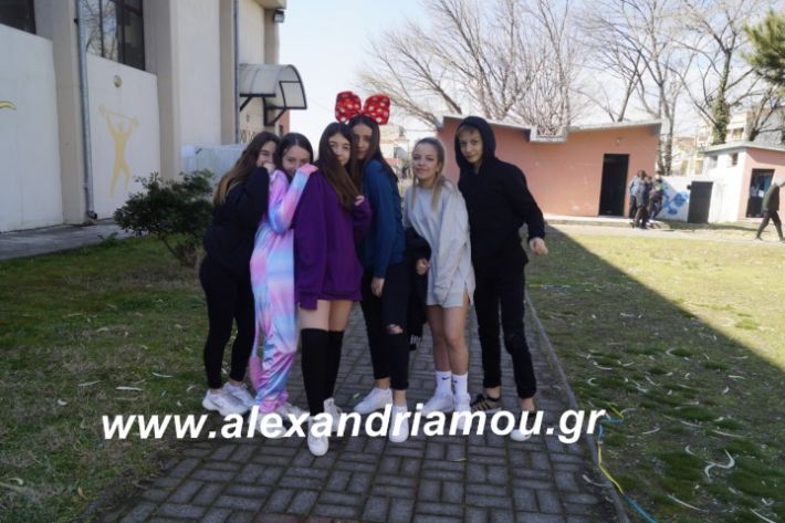 alexandriamou.2ogumnasiolikeiotsiknopempti2019056