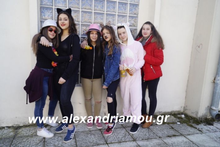 alexandriamou.2ogumnasiolikeiotsiknopempti2019057