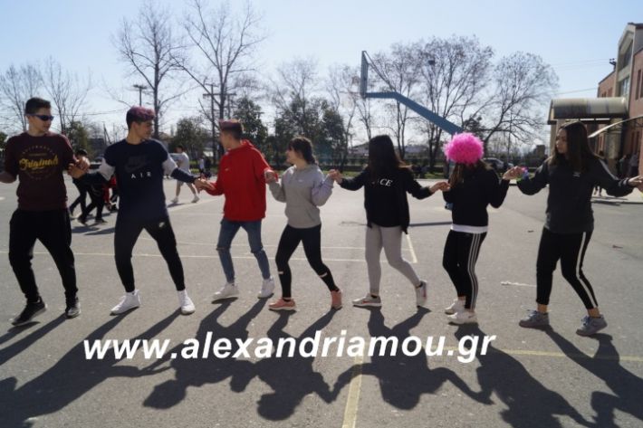 alexandriamou.2ogumnasiolikeiotsiknopempti2019061