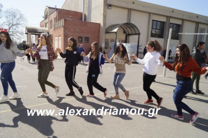 alexandriamou.2ogumnasiolikeiotsiknopempti2019063