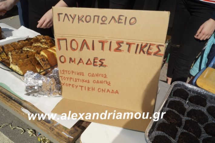 alexandriamou.2ogumnasiolikeiotsiknopempti2019085