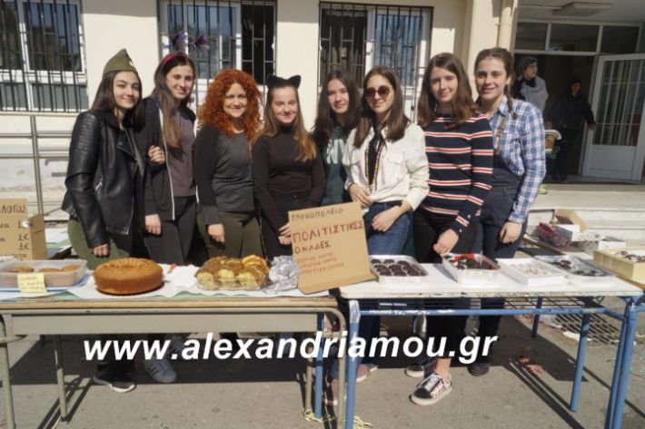 alexandriamou.2ogumnasiolikeiotsiknopempti2019089