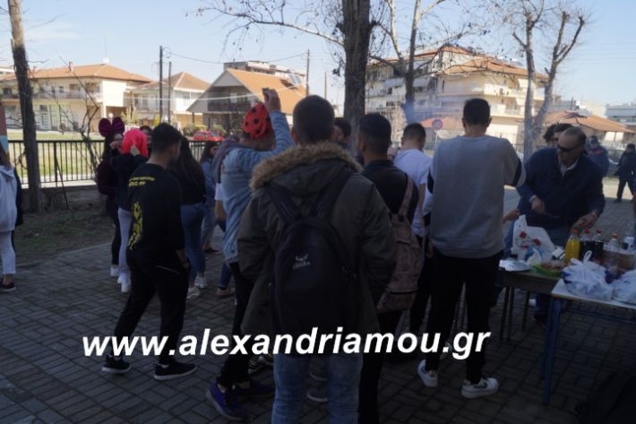 alexandriamou.2ogumnasiolikeiotsiknopempti2019105