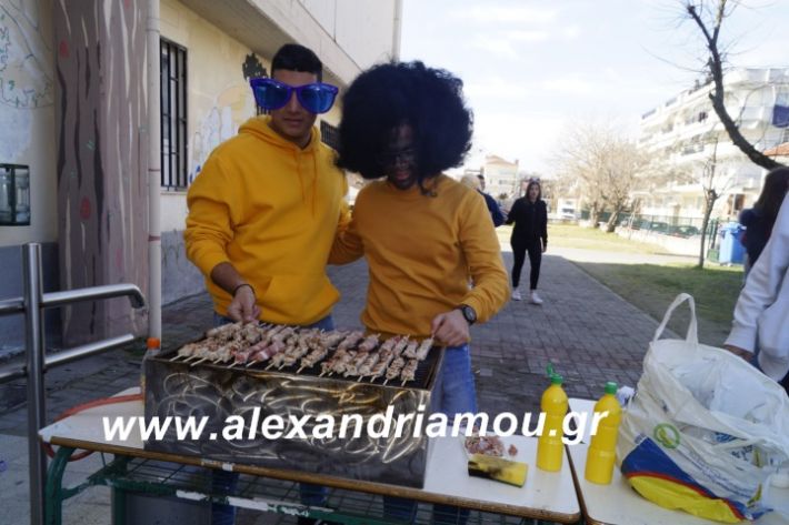 alexandriamou.2ogumnasiolikeiotsiknopempti2019109