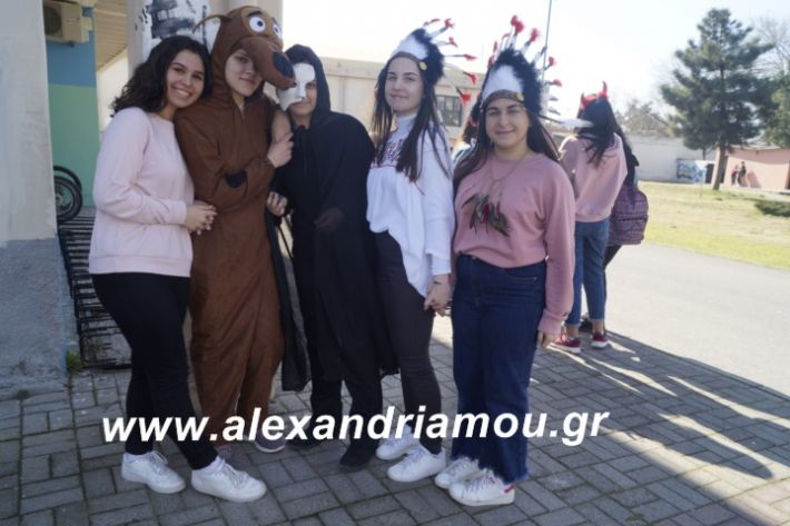 alexandriamou.2ogumnasiolikeiotsiknopempti2019115