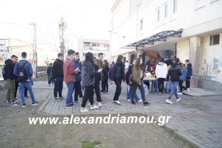 alexandriamou.2ogumnasiolikeiotsiknopempti2019119