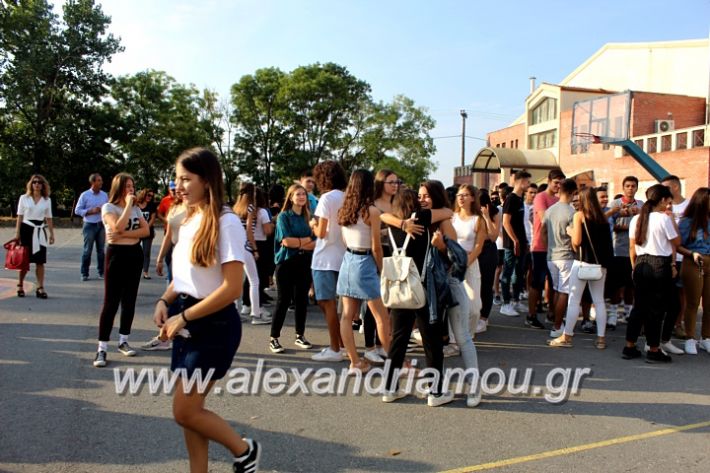 alexandriamou.gr_2olukeioagiasmos2019IMG_7447