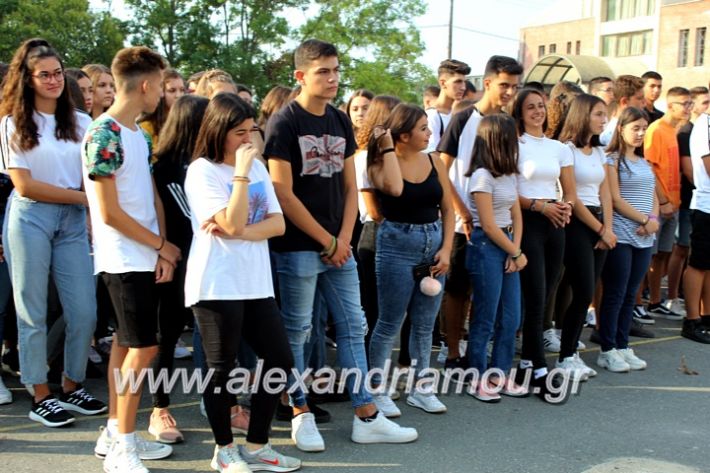 alexandriamou.gr_2olukeioagiasmos2019IMG_7478