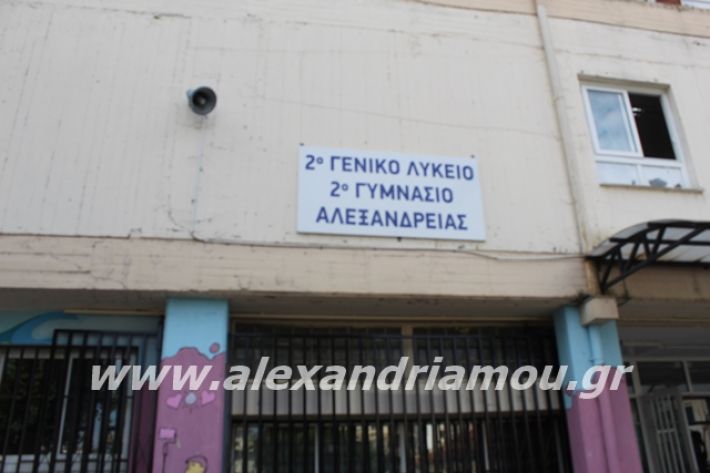 alexandriamou.gr_2likeioagiasmos2020001