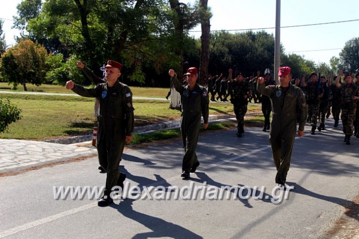 alexandriamou.gr_3oteas2.1.19IMG_5819