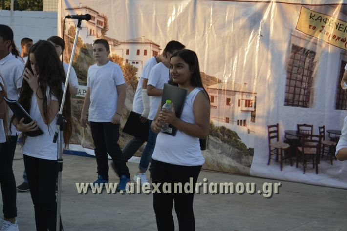 alexandriamou_4o_dhmotiko_2017_020