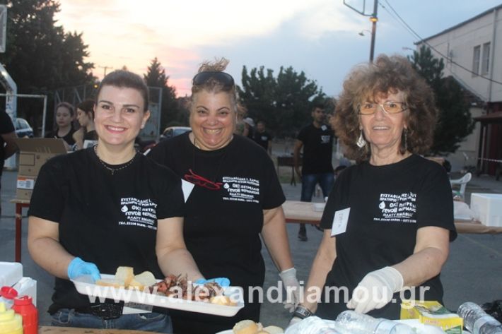 alexandriamou.gr_5komninapaidikofestval2019002