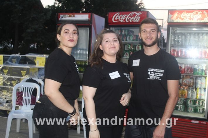 alexandriamou.gr_5komninapaidikofestval2019003