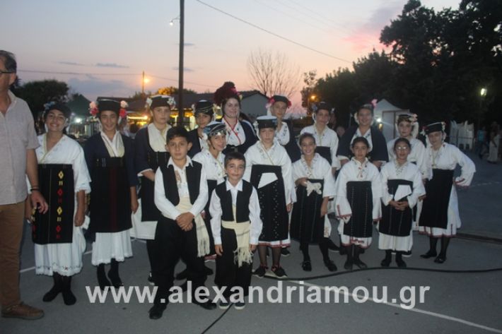 alexandriamou.gr_5komninapaidikofestval2019020