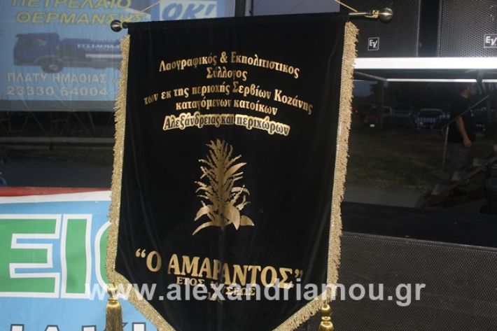 alexandriamou.gr_5komninapaidikofestval2019030