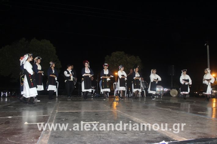 alexandriamou.gr_5komninapaidikofestval2019057