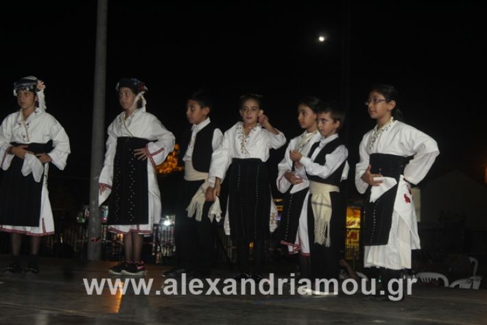 alexandriamou.gr_5komninapaidikofestval2019058