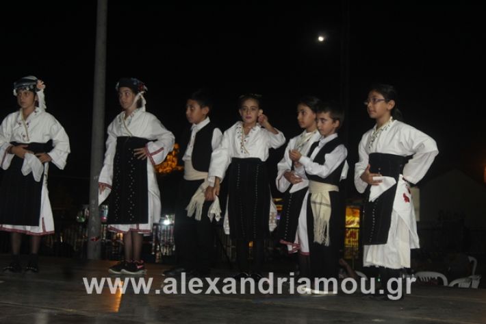 alexandriamou.gr_5komninapaidikofestval2019058