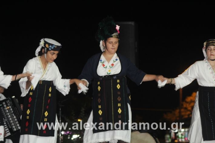 alexandriamou.gr_5komninapaidikofestval2019067