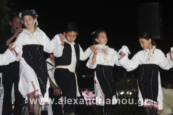 alexandriamou.gr_5komninapaidikofestval2019075