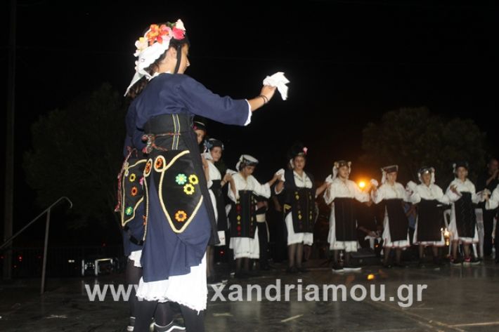 alexandriamou.gr_5komninapaidikofestval2019076