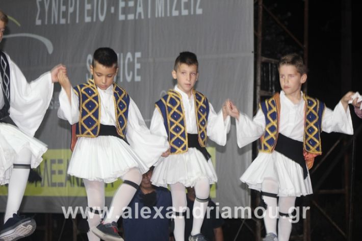 alexandriamou.gr_5komninapaidikofestval2019103