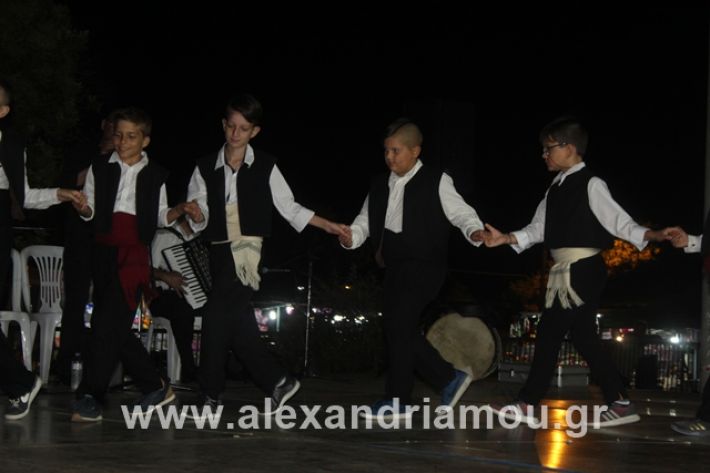 alexandriamou.gr_5komninapaidikofestval2019138