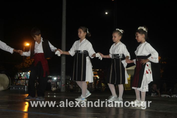 alexandriamou.gr_5komninapaidikofestval2019139