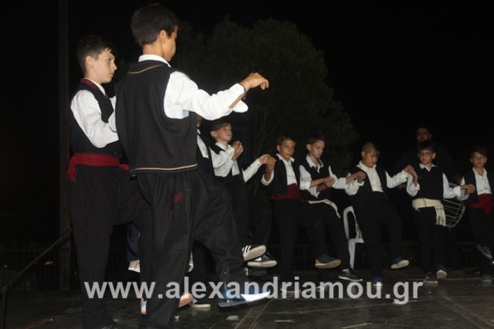 alexandriamou.gr_5komninapaidikofestval2019166