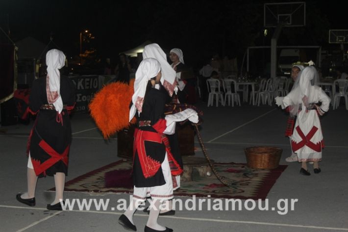 alexandriamou.gr_5komninapaidikofestval2019183