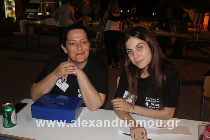 alexandriamou.gr_5komninapaidikofestval2019261