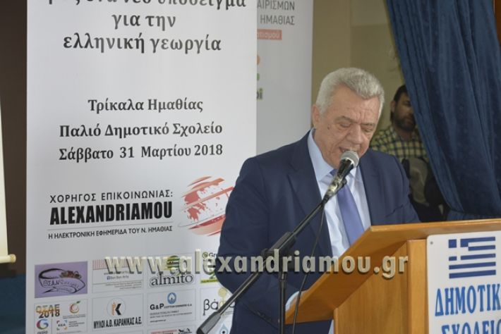 6himerida_georgias_trikala2018037