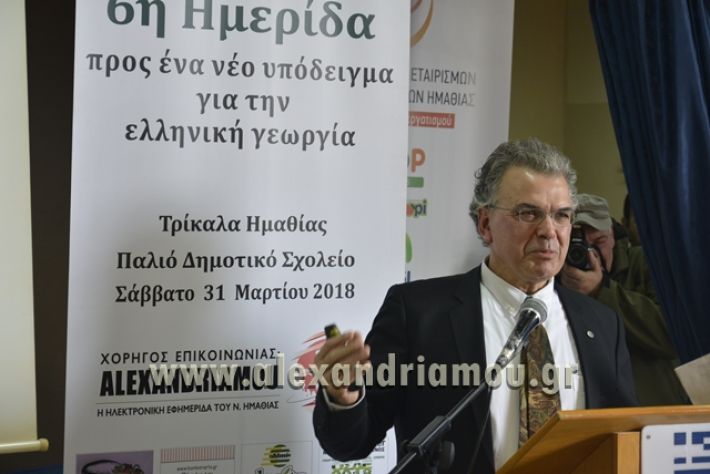 6himerida_georgias_trikala2018040