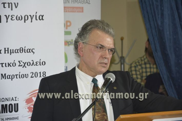 6himerida_georgias_trikala2018042